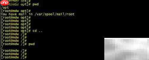 Linux cd命令高效使用技巧