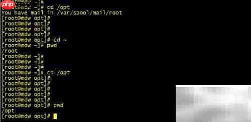Linux cd命令高效使用技巧