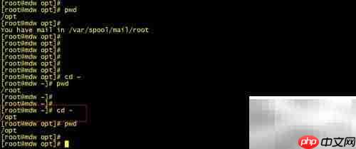 Linux cd命令高效使用技巧