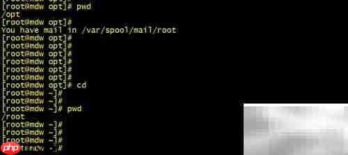 Linux cd命令高效使用技巧