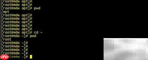 Linux cd命令高效使用技巧