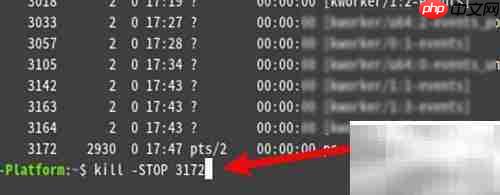 Linux终止进程命令详解