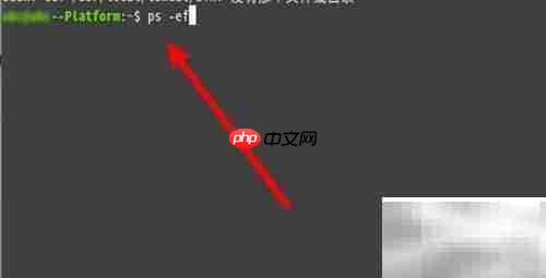 Linux终止进程命令详解