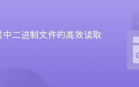 Go语言中二进制文件的高效读取指南