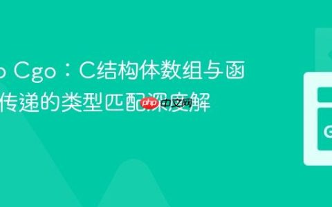 精通Go Cgo：C结构体数组与函数指针传递的类型匹配深度解析