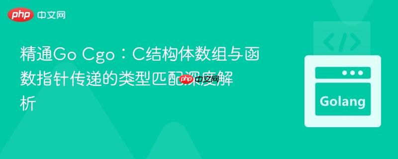 精通Go Cgo:C结构体数组与函数指针传递的类型匹配深度解析