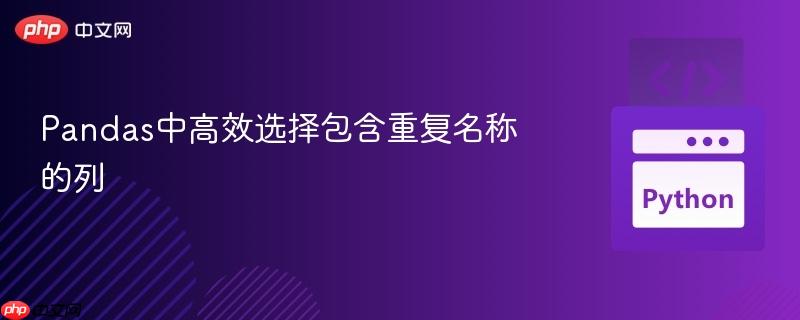 Pandas中高效选择包含重复名称的列