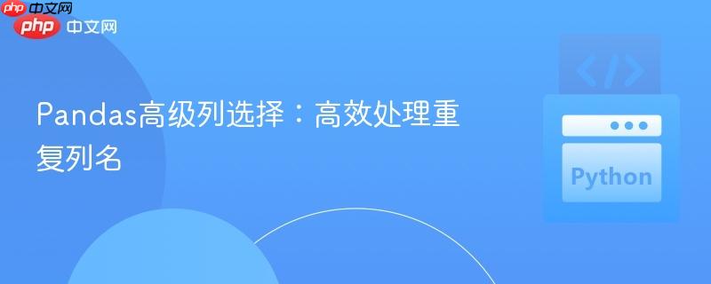Pandas高级列选择:高效处理重复列名