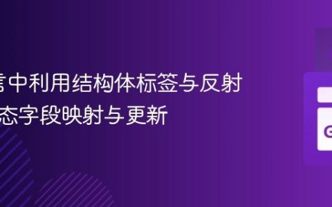Go语言中利用结构体标签与反射实现动态字段映射与更新