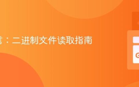 Go语言：二进制文件读取指南