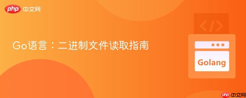 Go语言:二进制文件读取指南