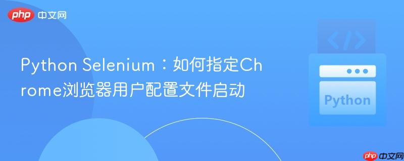 Python Selenium:如何指定Chrome浏览器用户配置文件启动