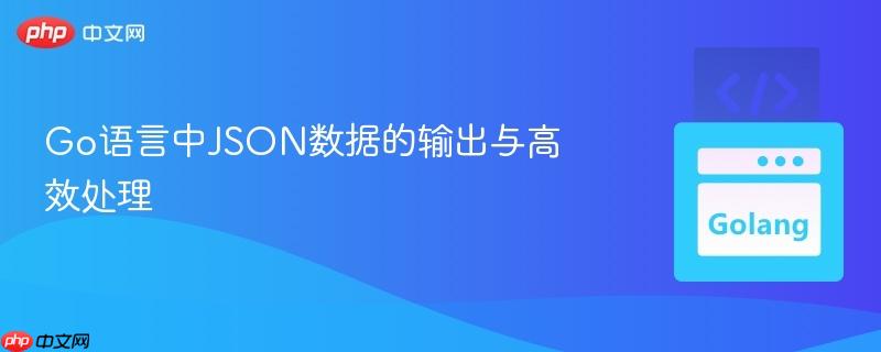 Go语言中JSON数据的输出与高效处理