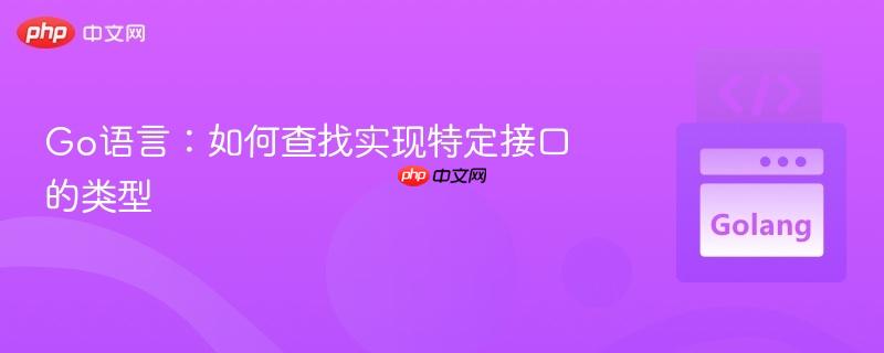 Go语言:如何查找实现特定接口的类型