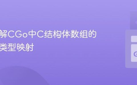 深入理解CGo中C结构体数组的传递与类型映射