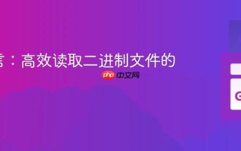 Go语言：高效读取二进制文件的方法