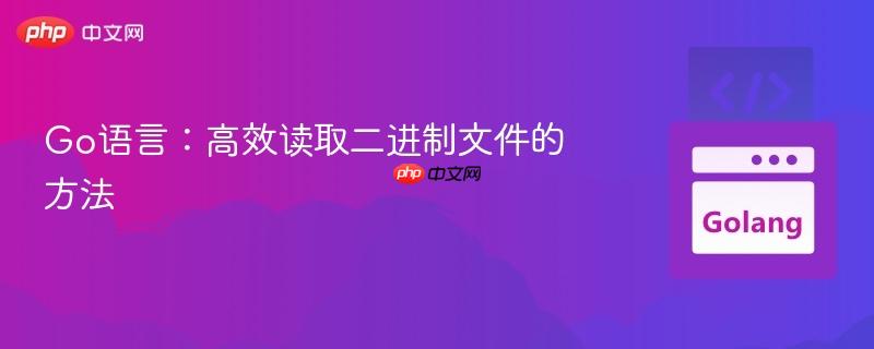 Go语言:高效读取二进制文件的方法