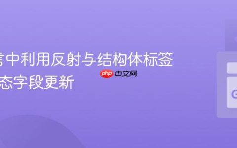 Go语言中利用反射与结构体标签实现动态字段更新