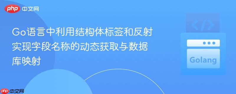 Go语言中利用结构体标签和反射实现字段名称的动态获取与数据库映射