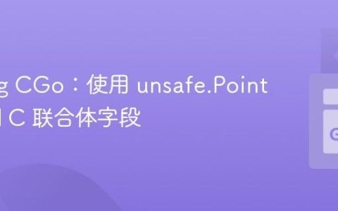 Golang CGo：使用 unsafe.Pointer 访问 C 联合体字段