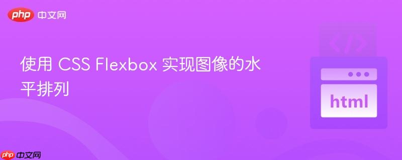 使用 css flexbox 实现图像的水平排列
