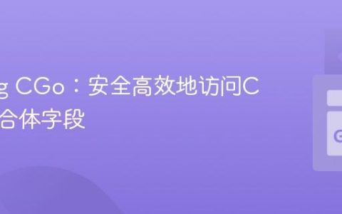 Golang CGo：安全高效地访问C语言联合体字段