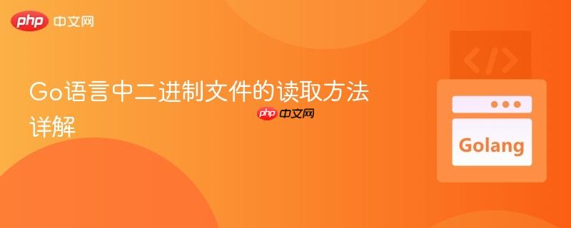 Go语言中二进制文件的读取方法详解