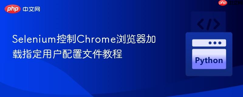 Selenium控制Chrome浏览器加载指定用户配置文件教程