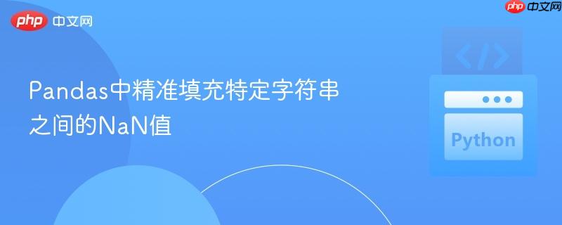 Pandas中精准填充特定字符串之间的NaN值