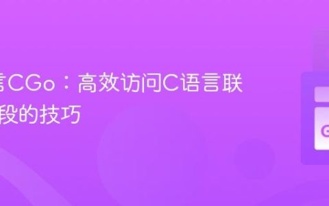 Go语言CGo：高效访问C语言联合体字段的技巧