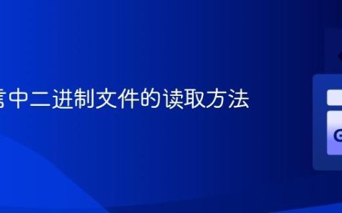Go语言中二进制文件的读取方法