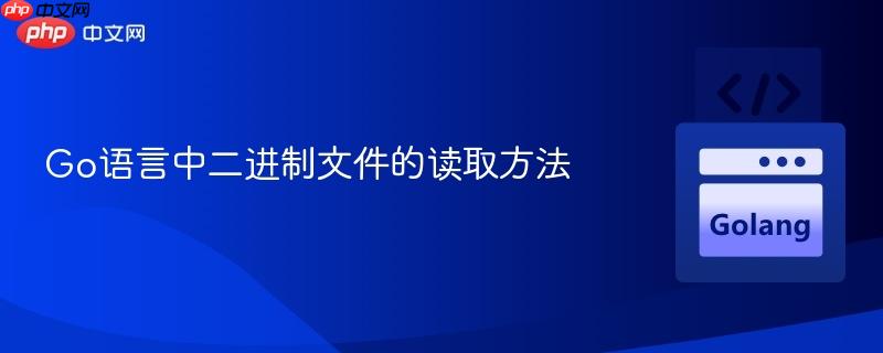 Go语言中二进制文件的读取方法