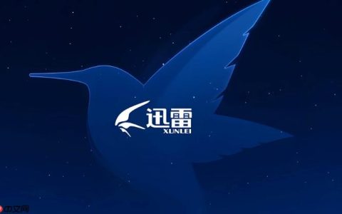 迅雷网盘如何找回误删文件 迅雷网盘回收站的使用技巧