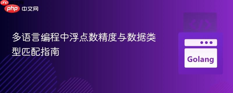 多语言编程中浮点数精度与数据类型匹配指南