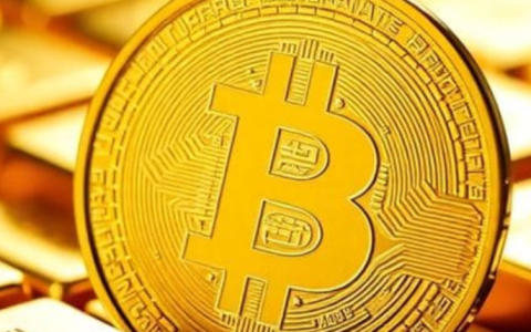 2025年10月，推荐哪些加密货币长期持有？