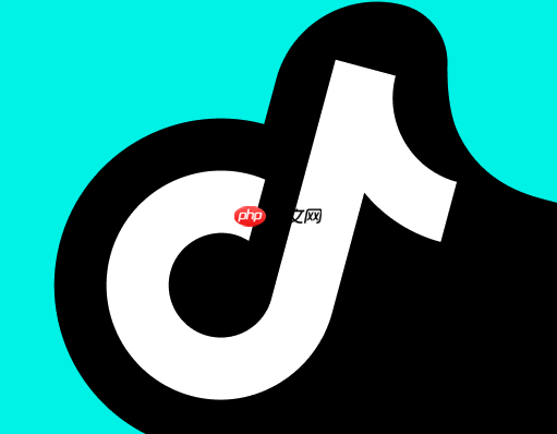 抖音电脑版和手机版有何不同_抖音电脑版与手机版功能对比