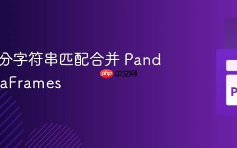 基于部分字符串匹配合并 Pandas DataFrames