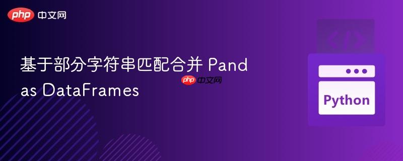 基于部分字符串匹配合并 pandas dataframes