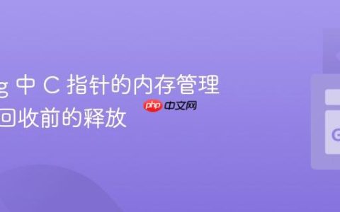 Golang 中 C 指针的内存管理：GC 回收前的释放