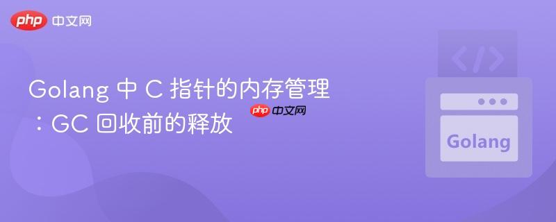 golang 中 c 指针的内存管理:gc 回收前的释放