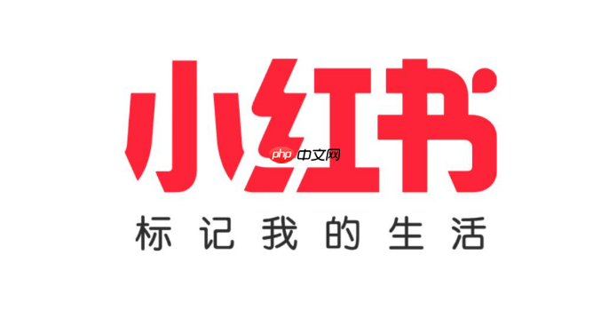 小红书千帆PC端对电脑有什么要求_千帆PC端系统配置要求说明