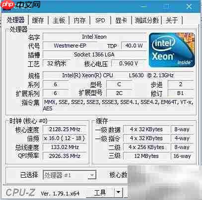 CPU-Z使用指南
