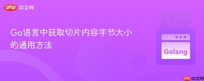 Go语言中获取切片内容字节大小的通用方法
