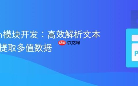 Python模块开发：高效解析文本文件并提取多值数据