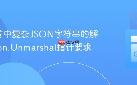 Go语言中复杂JSON字符串的解析与json.Unmarshal指针要求