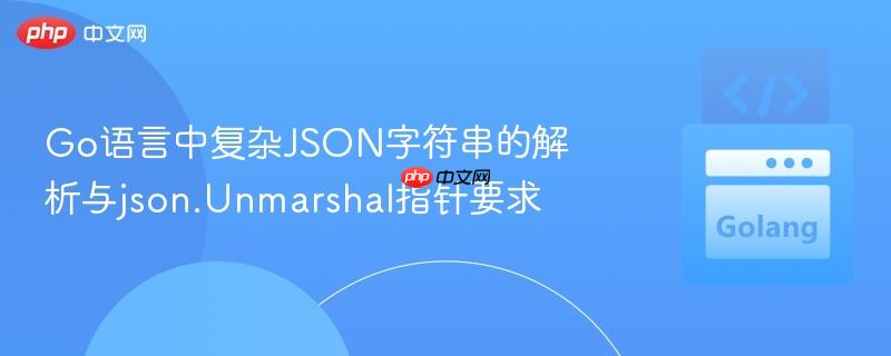 Go语言中复杂JSON字符串的解析与json.Unmarshal指针要求