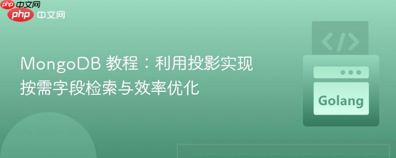 MongoDB 教程:利用投影实现按需字段检索与效率优化