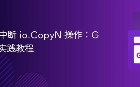 优雅地中断 io.CopyN 操作：Go 语言实践教程