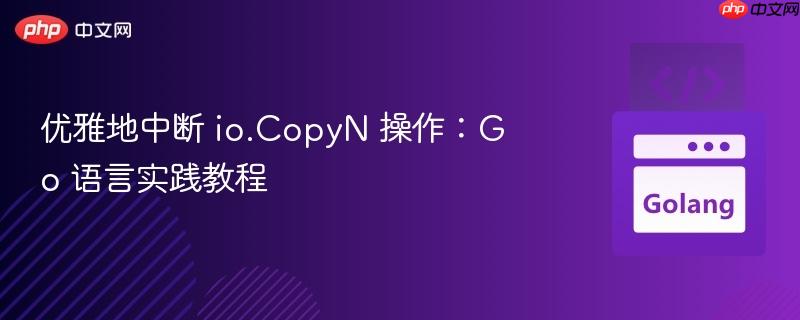 优雅地中断 io.copyn 操作:go 语言实践教程