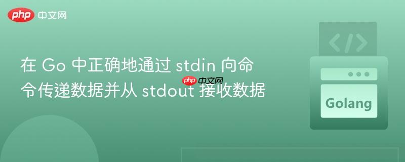 在 go 中正确地通过 stdin 向命令传递数据并从 stdout 接收数据